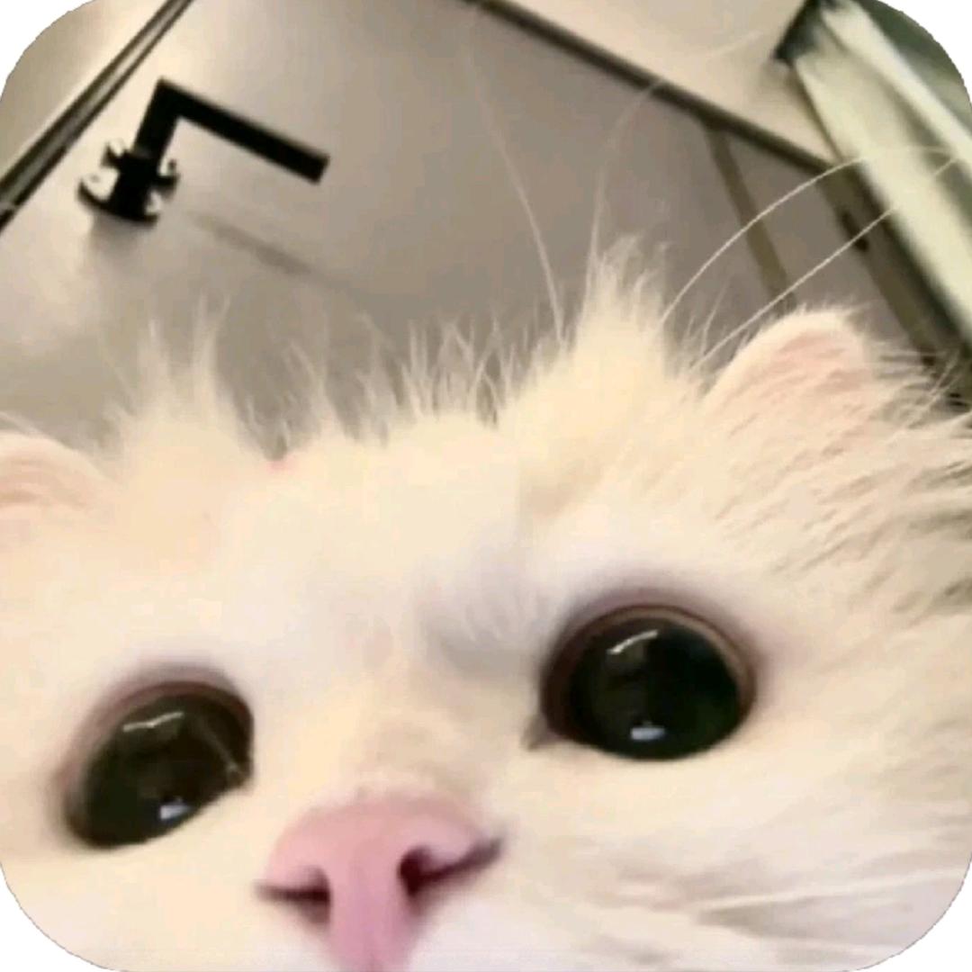 千屿あ
