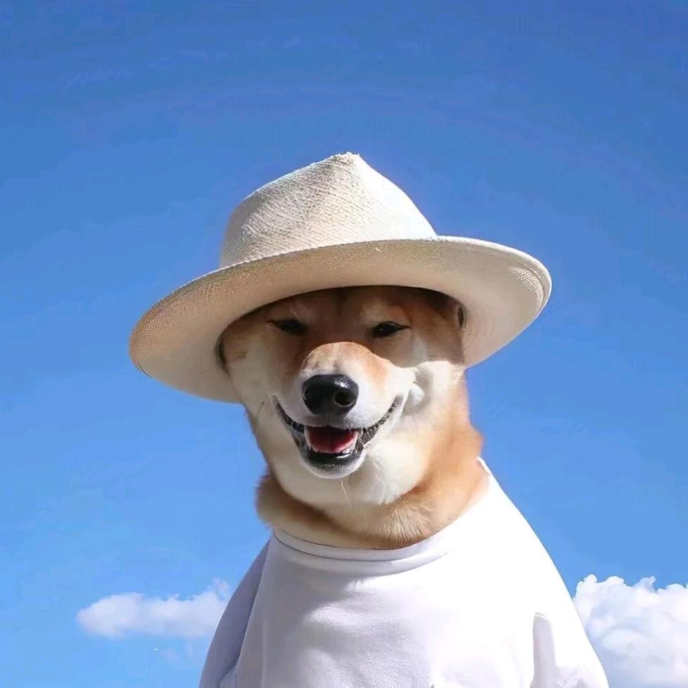 小新