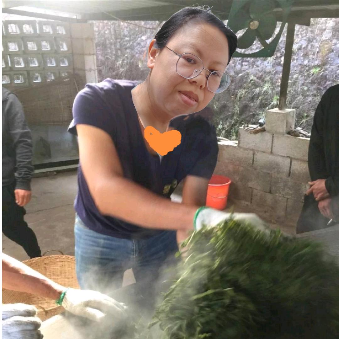 哈尼普洱茶官方号
