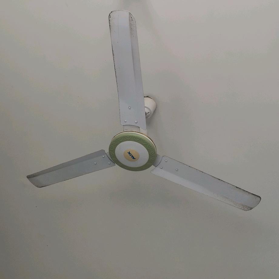 石槽李红枣供应链