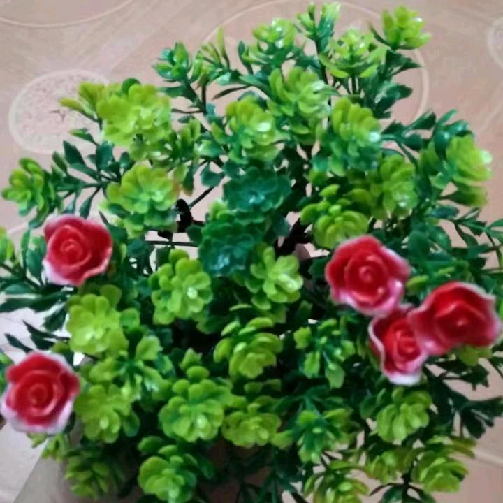 秀(*•̀ᴗ•́*)و ̑̑