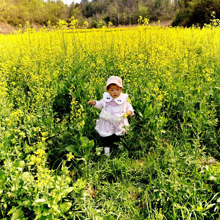 🥀半এ᭄ ꦿ颗💔糖🍬