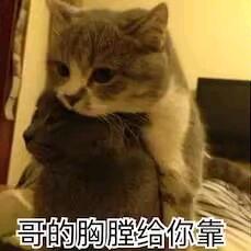 喜之郎
