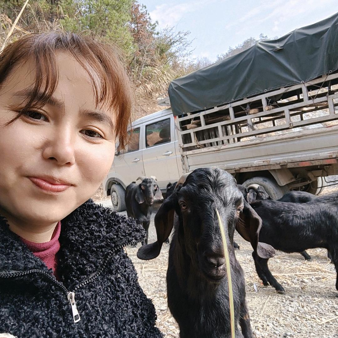 邵阳小羊嫂