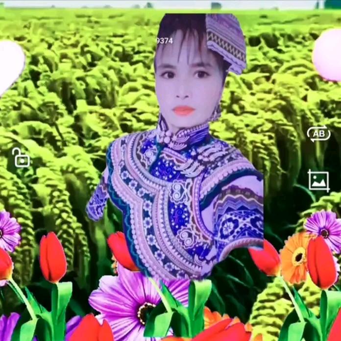 梅花🌸