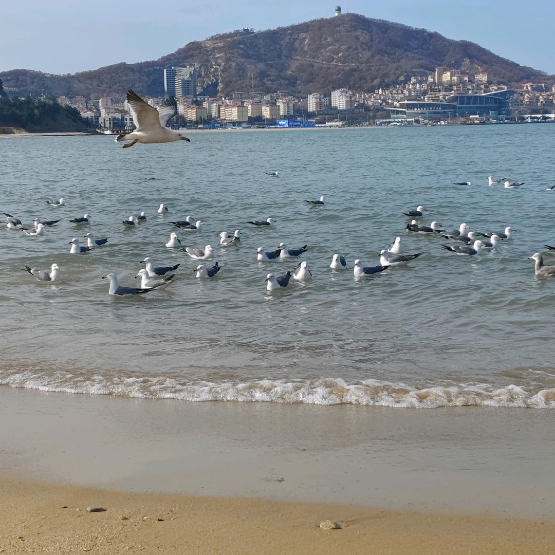 你们抖