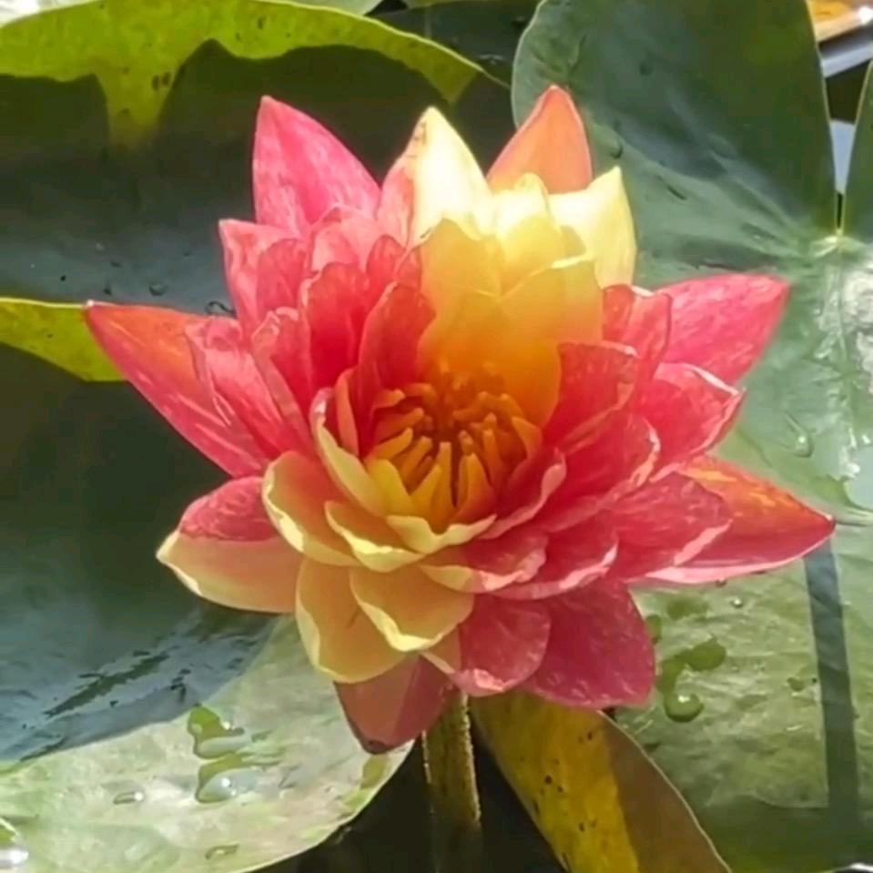 附近好友
