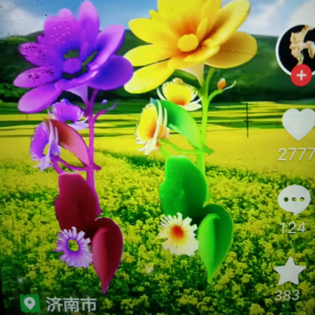 🍒大石头