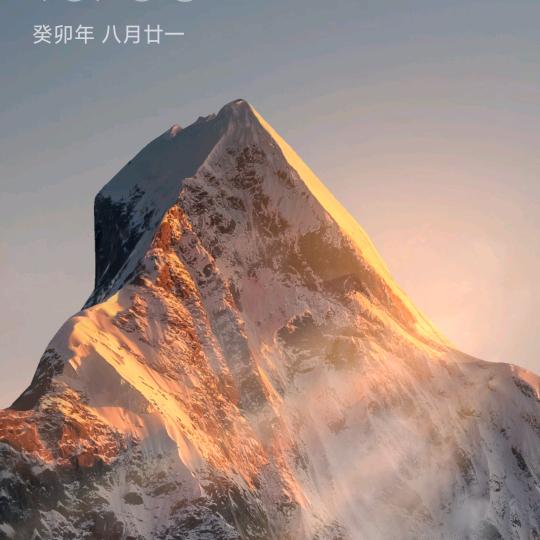 卓越wzh
