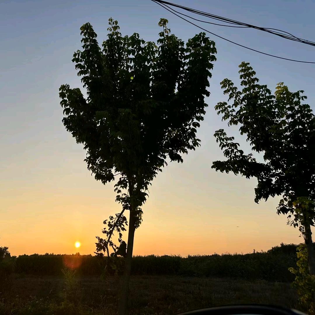 🌱.