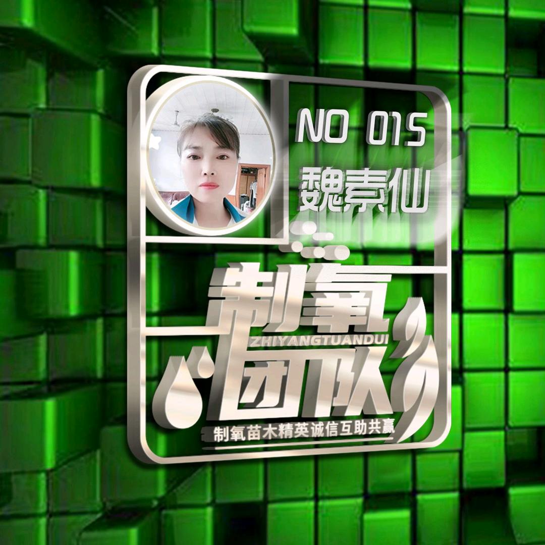 保定柿子树，地被草花，绿篱，制氧