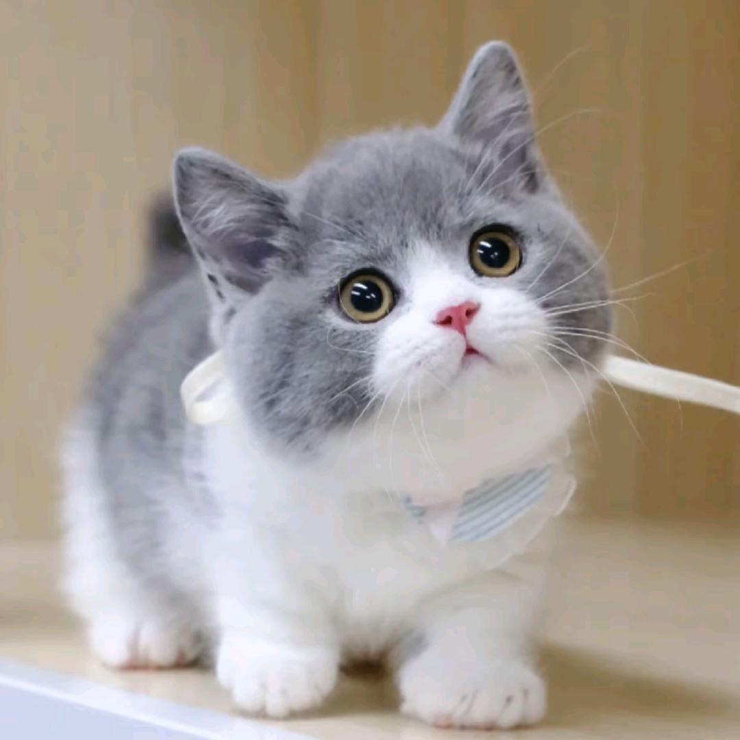 @天天向上