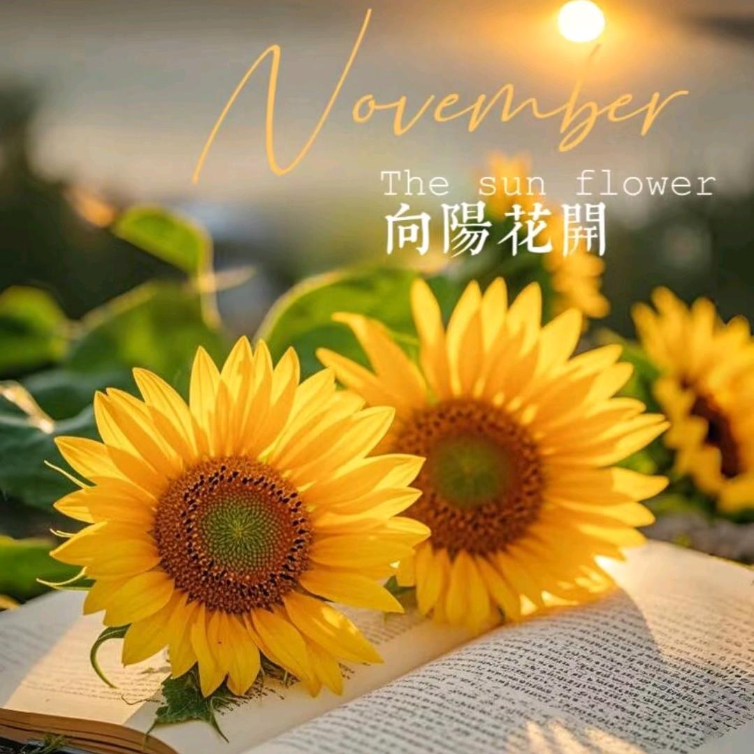 杨艳奇