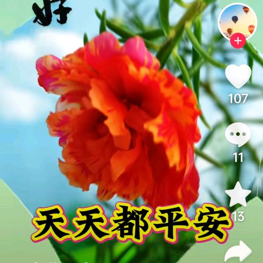 开心如意。