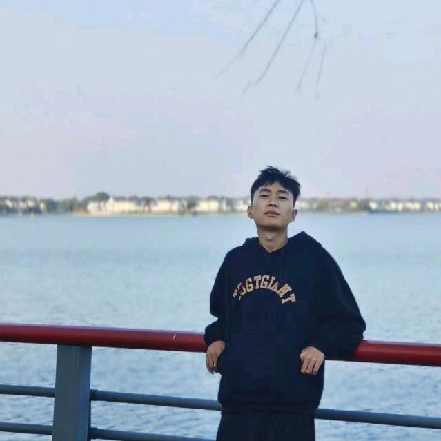 嘲