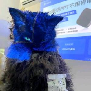 Ais有点困了