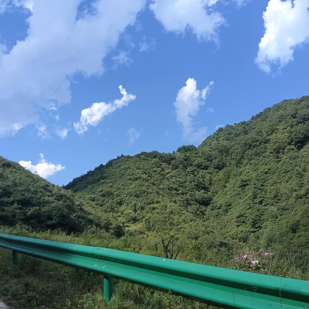 傻子