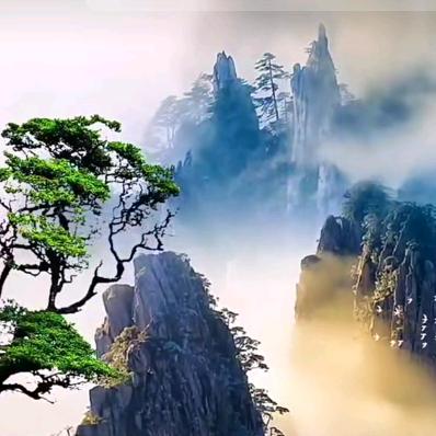 龙神殿主