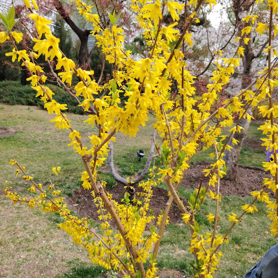 大表哥摸鱼日记