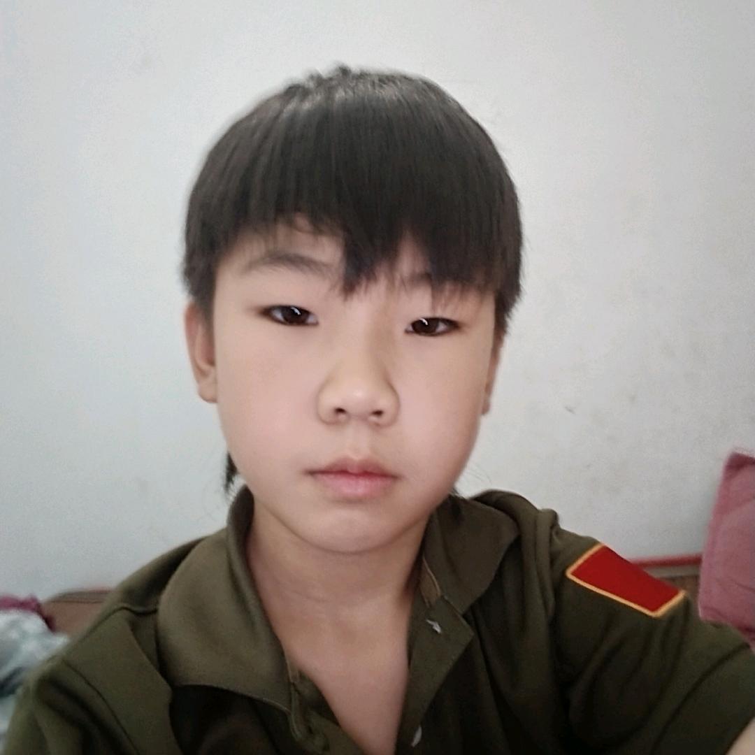 叶县水寨批发鸡鸭鹅苗