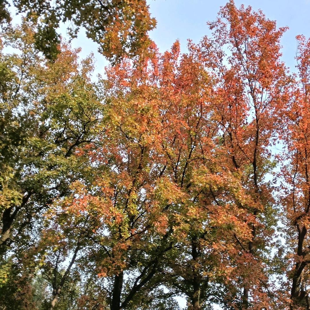 天🍀之娇女💫