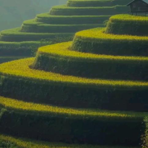 幸福全家优选铺子