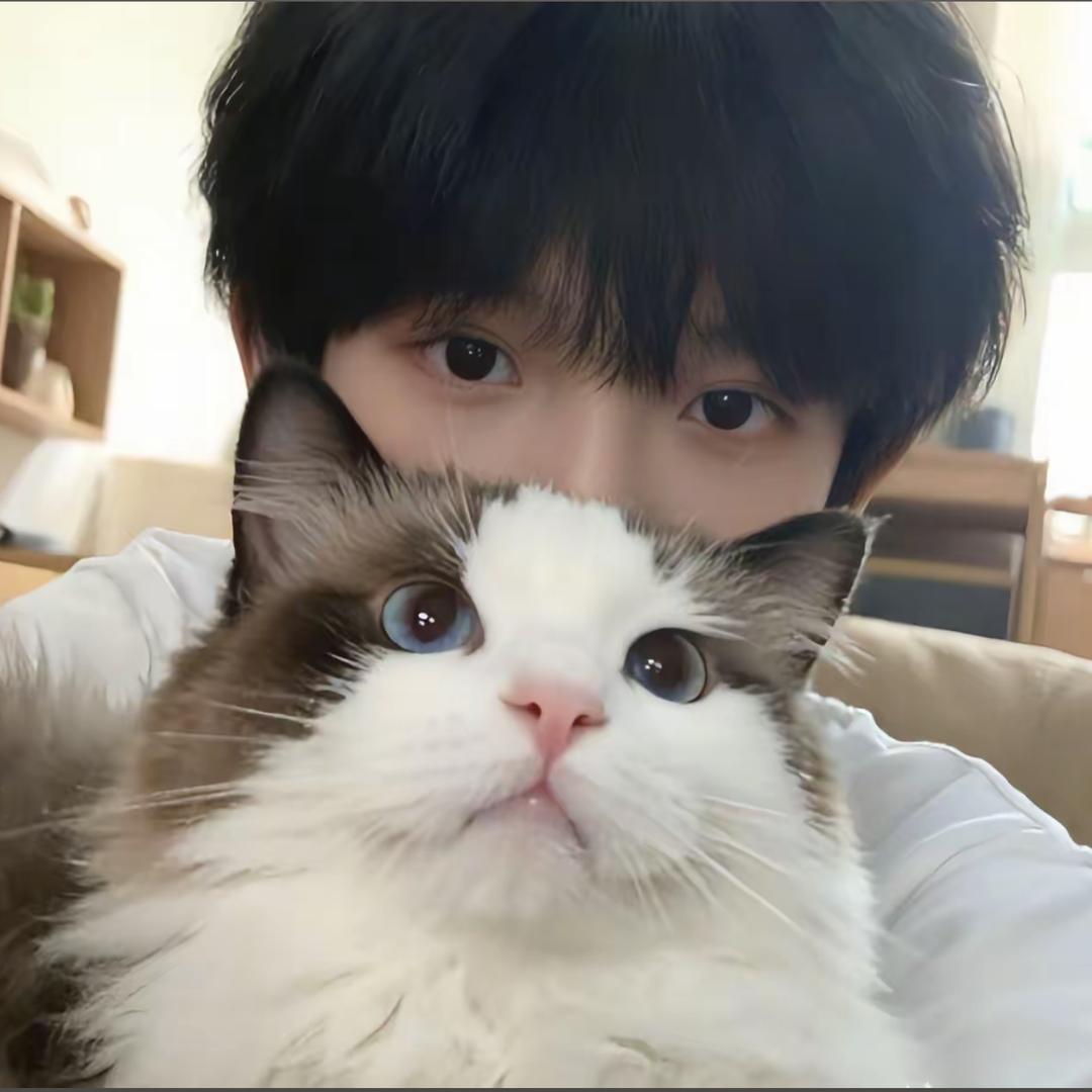 哼毛全是gui子