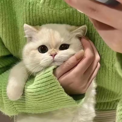 朱朱老师👧🏼