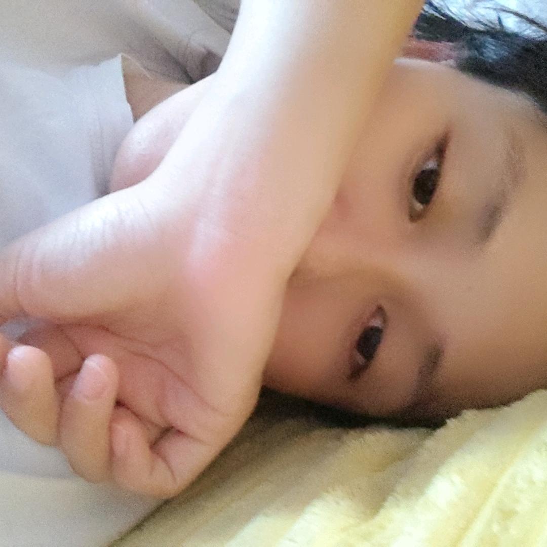 树木也曾飘兰香