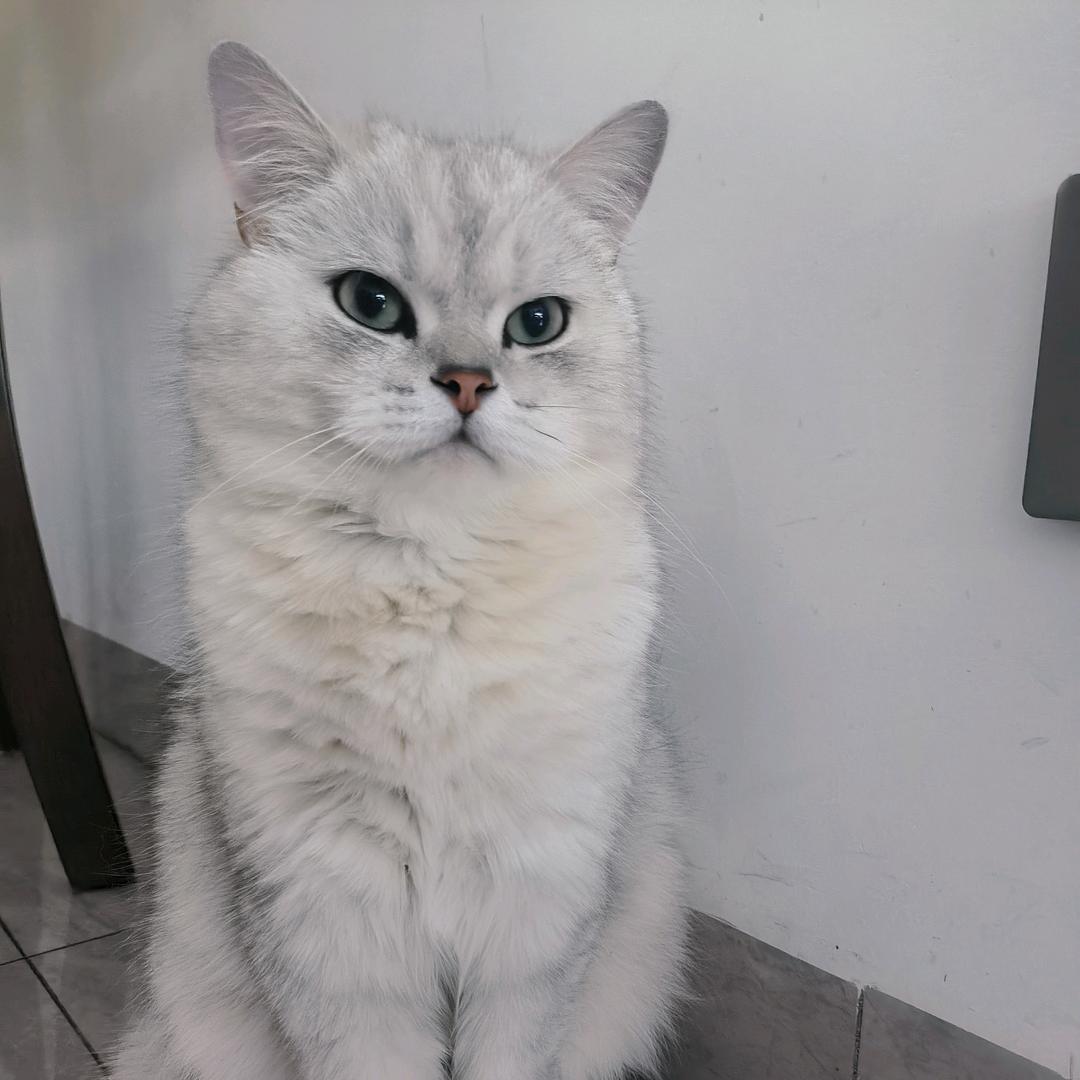 洁😇