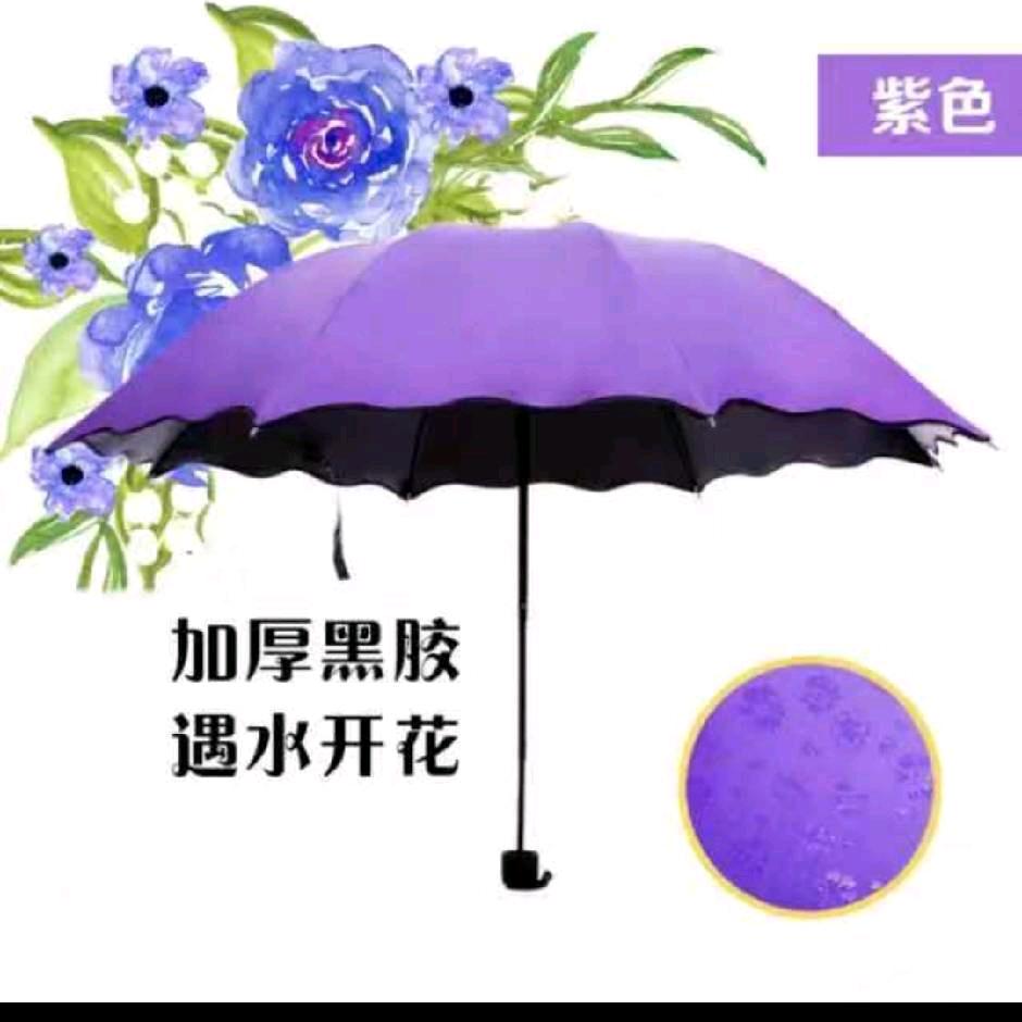 芙蓉