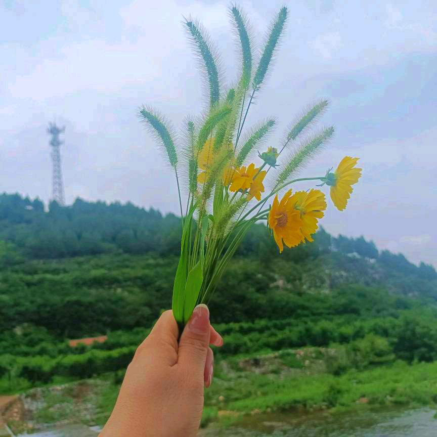 肌素万牛安犊布天下