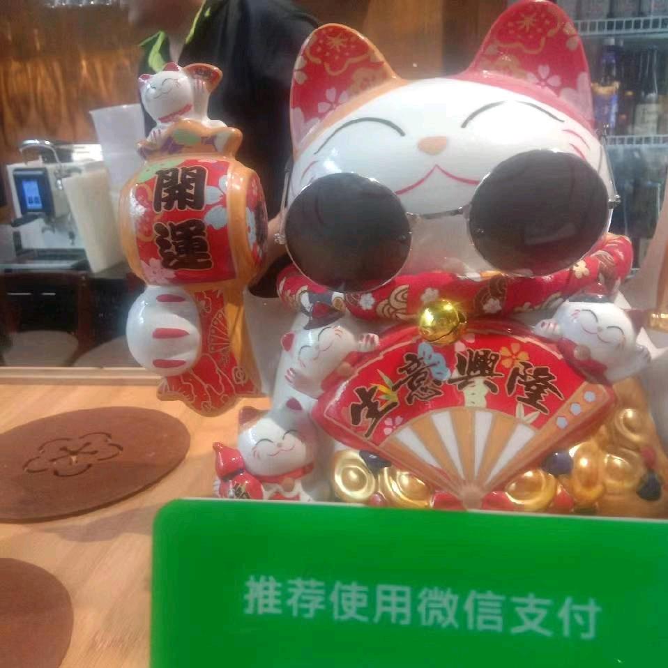 🌈🌈彩虹岛🌈🌈