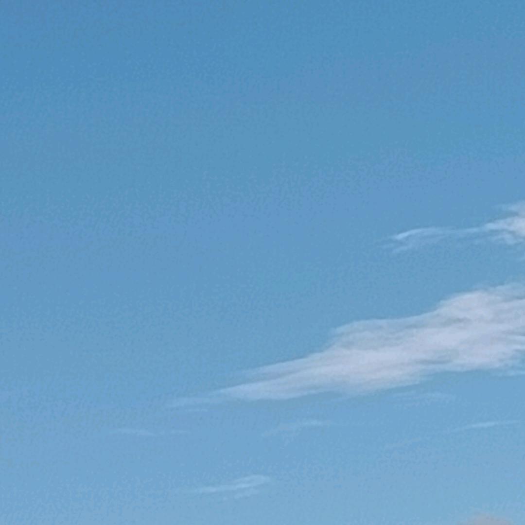 盛夏