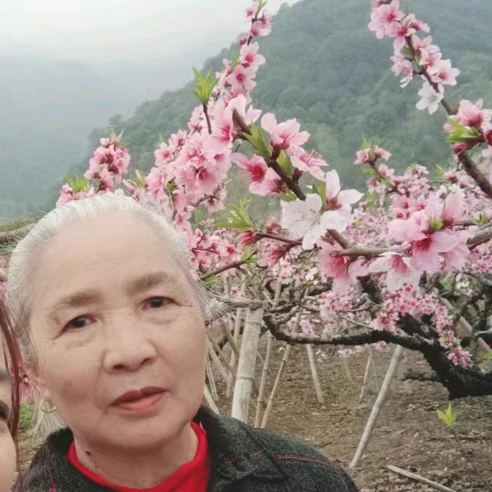 岁岁平安