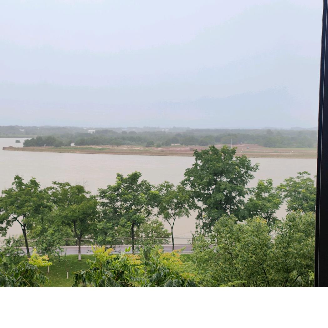 奈何明月照沟渠