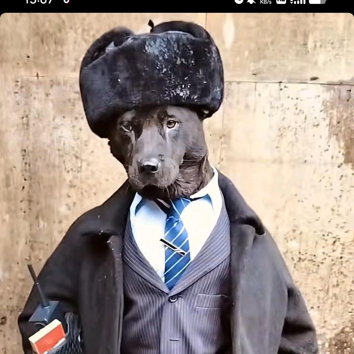 七八个少妇近不了身