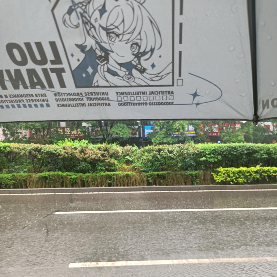 一场没相遇的雪