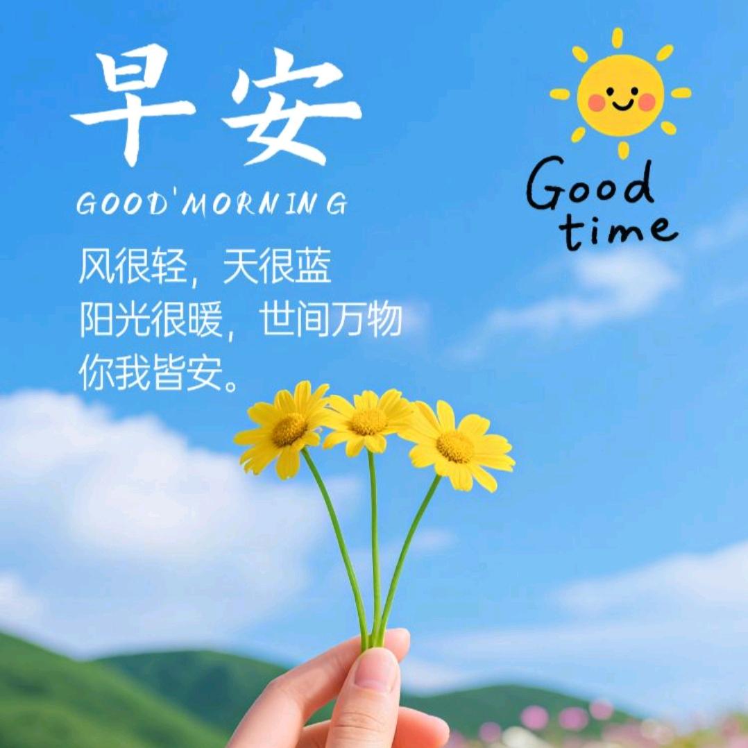 我是向大大