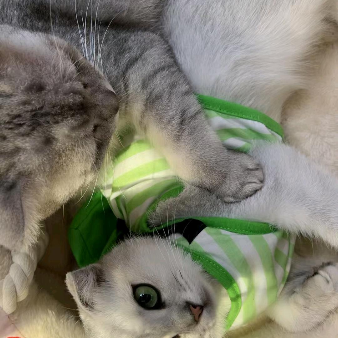 溜溜的情歌