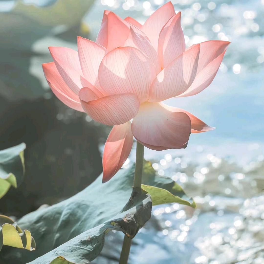 80后利姐