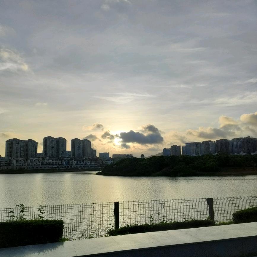 枫叶~~《情》兰