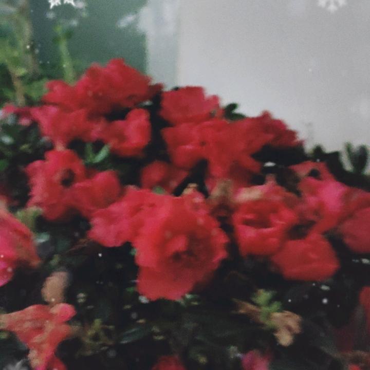 扬帆Qi航