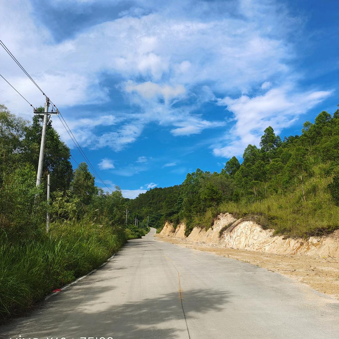 🌤向梦想而努力🌞
