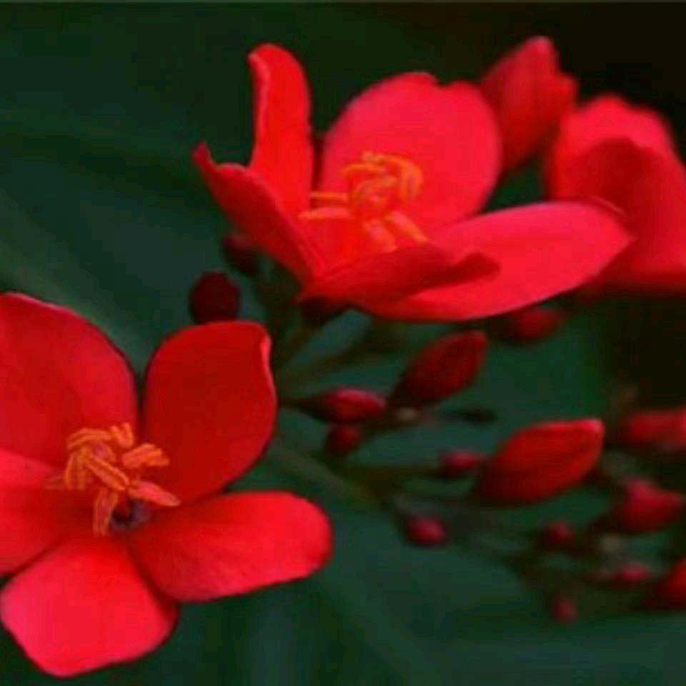 🍀🍀🍀🍀🍀平凡人生🍀