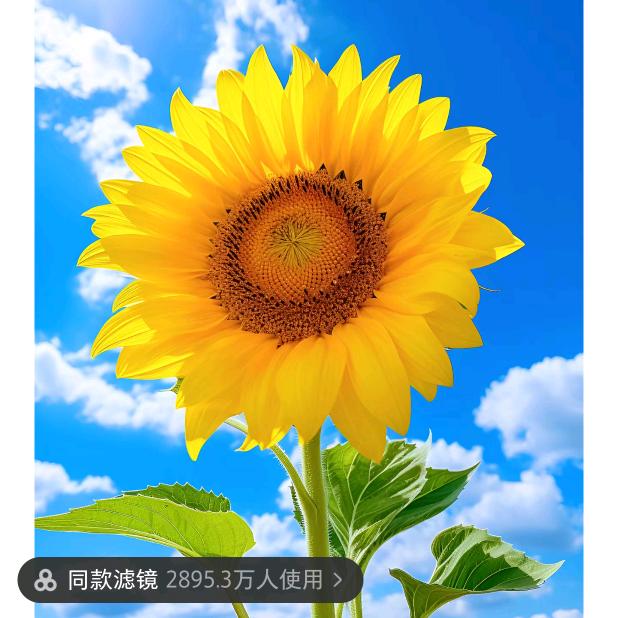 雨后的彩虹（拒绝）