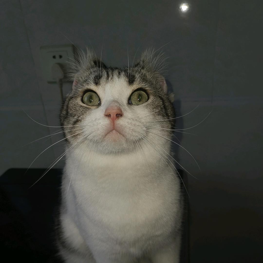 狂奔的蜗牛