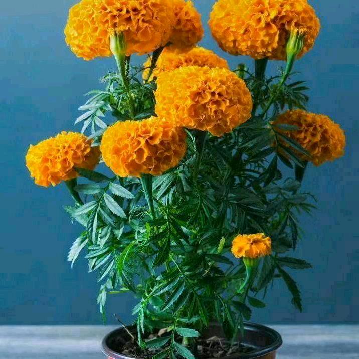 💋你；💞💚💞💙💝