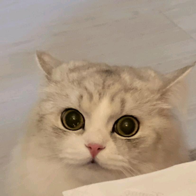 鹤暝