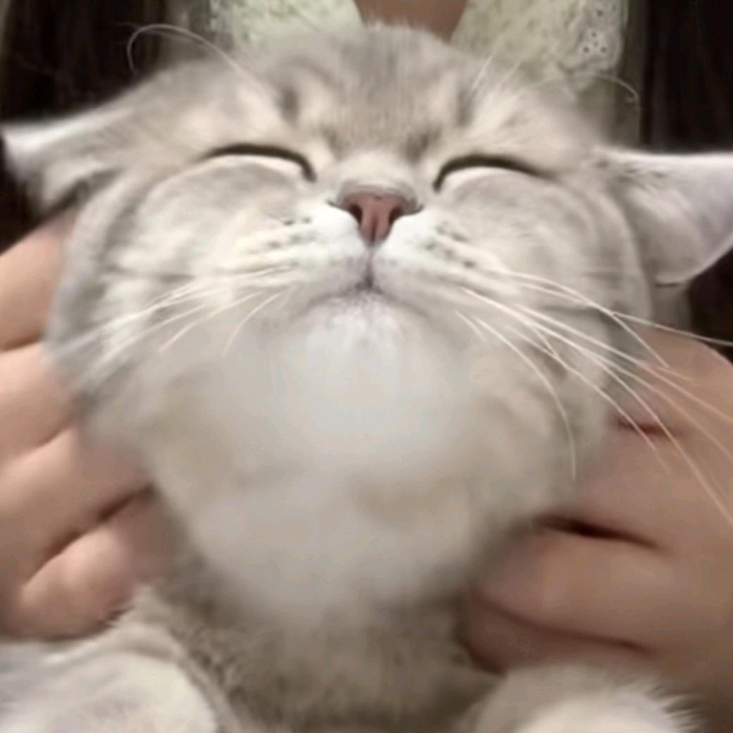 soo